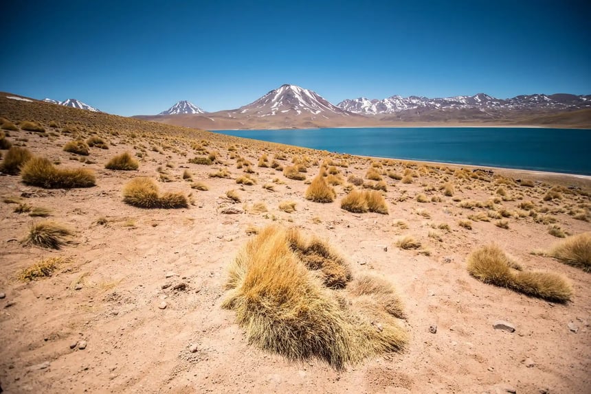 lagoon in Atacama Desert