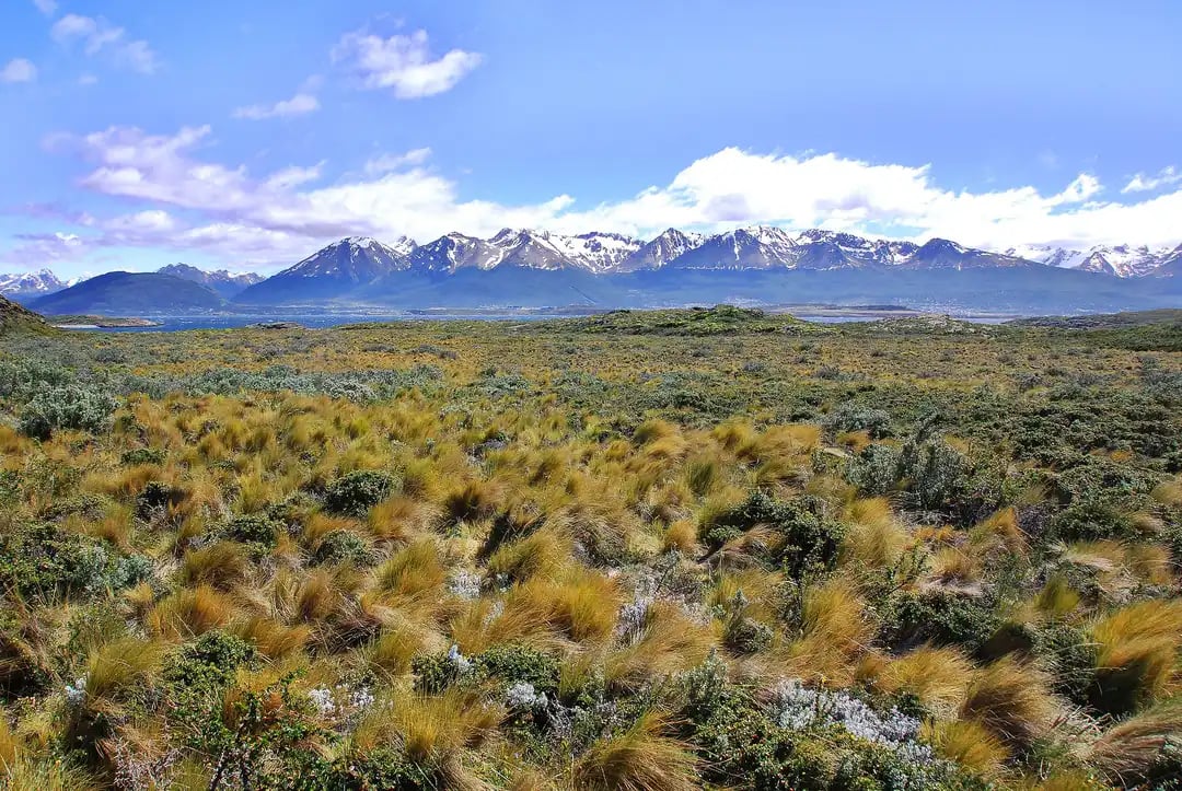 Tierra del Fuego