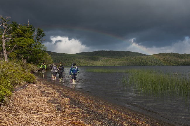 53479366162_596f30ae69_c