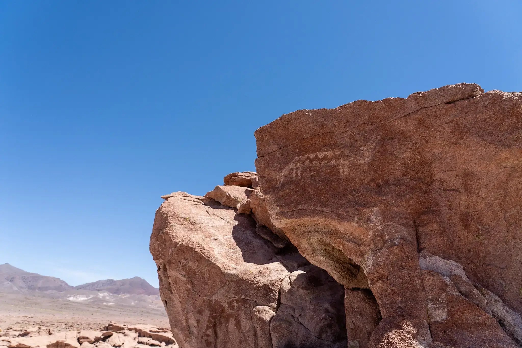 55102931579_41035cb947_k