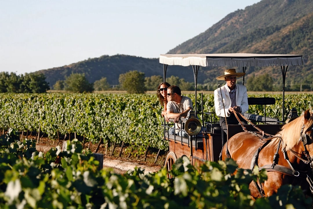 Colchagua Wine Valleys