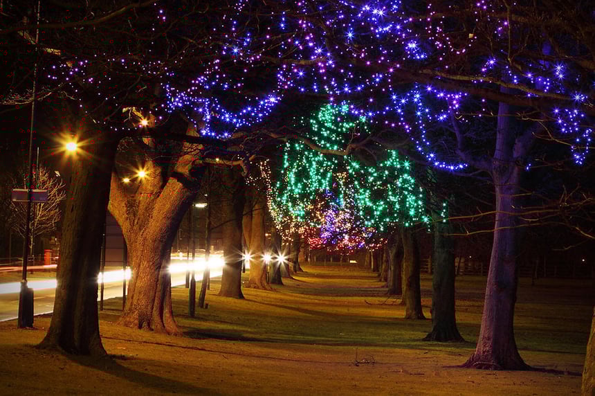 9249-trees-decorated-at-night-with-christmas-lights-pv