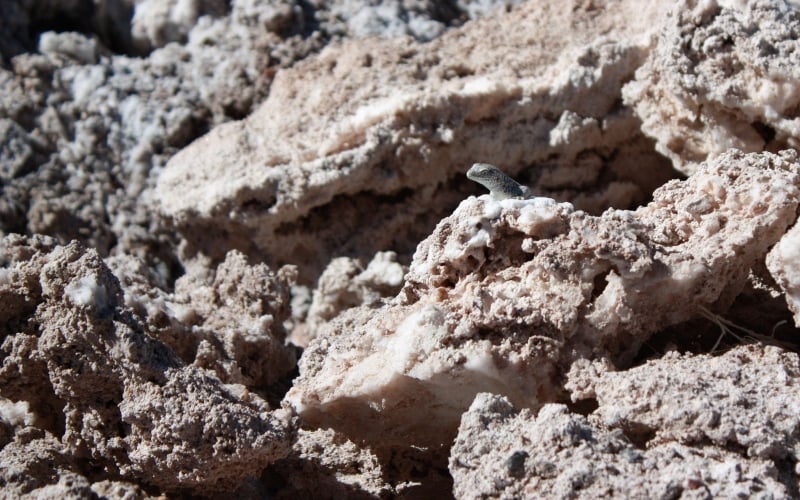 Atacama Salt Flat