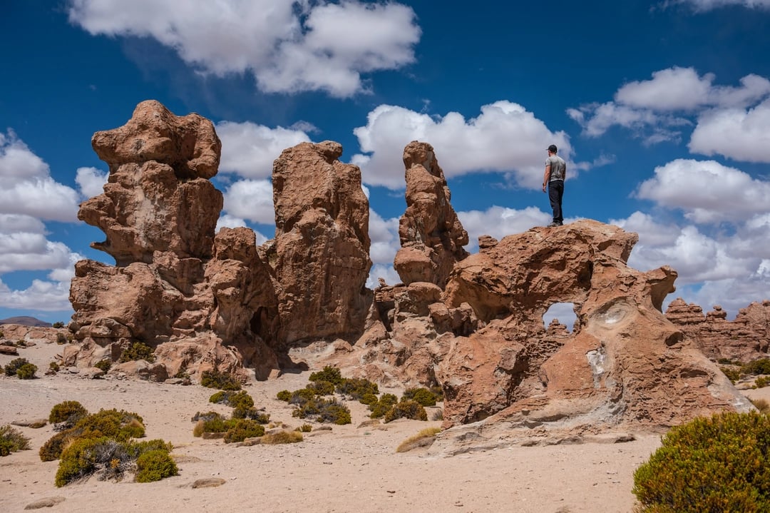 Bosque de Piedras at Sud Lipez