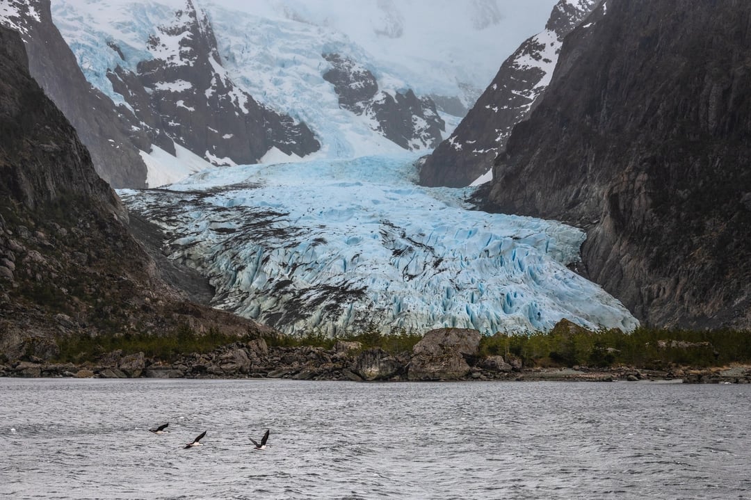 The mountain channel and cormorans