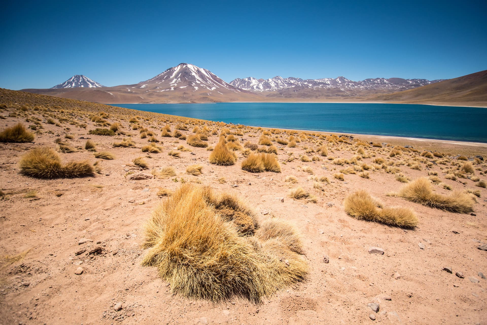 Explorando el Desierto de Atacama - Cascada Expediciones