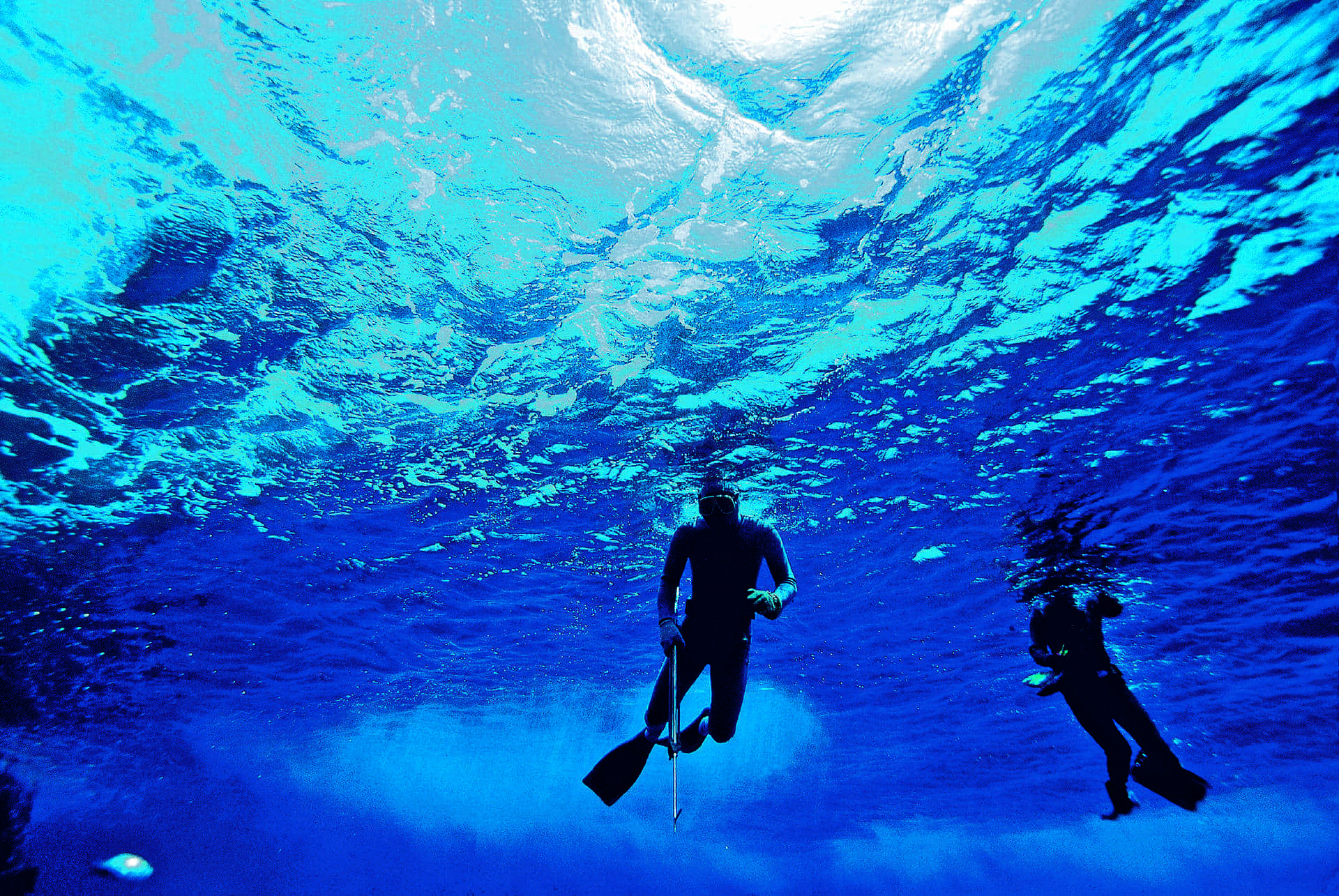 Scuba Dive Rapa Nui