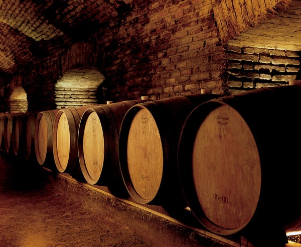 WIN002_Wine Valleys_Bodega
