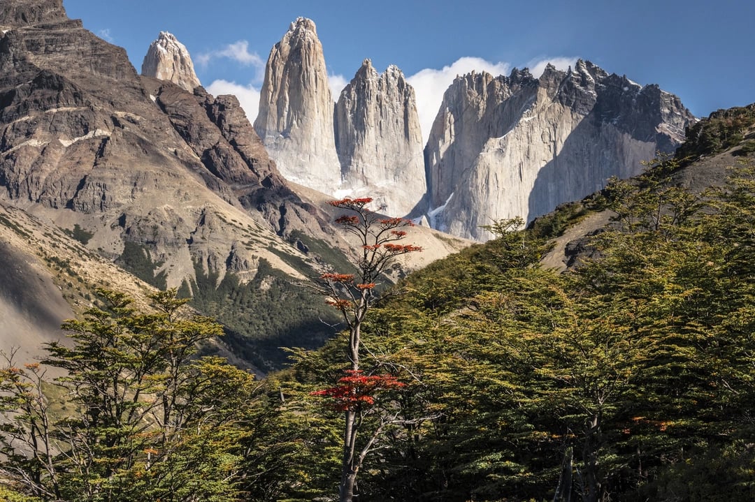 Autumn in Torres del Paine