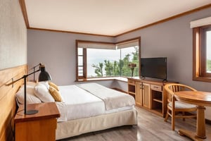 Hotel Puelche Habitación Premium