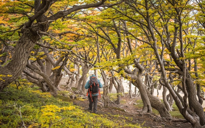 autumn in Torres del Paine