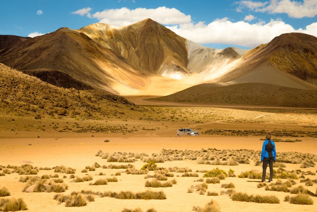 Lauca National Park by Alain Bonnardeaux