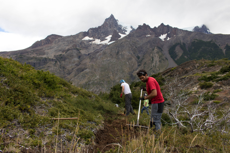 Legacy Fund Torres del Paine 