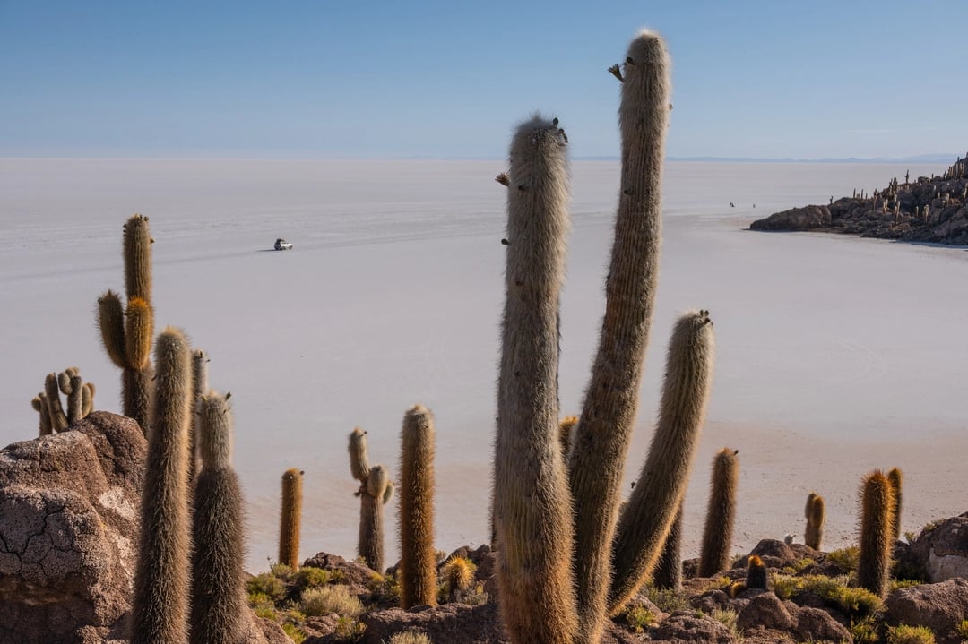 Driving through the Uyuni salar