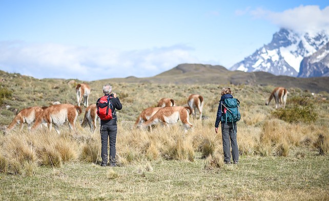 Sarmiento Fauna Trail