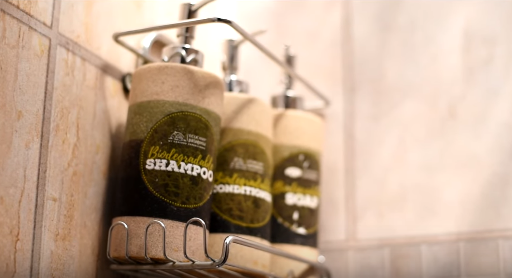 Biodegradable Shampoo