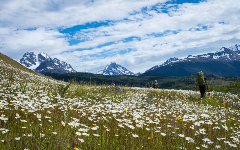 Spring in Torres del Paine