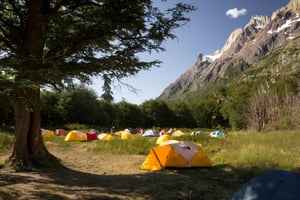 Vertice Grey - Camping