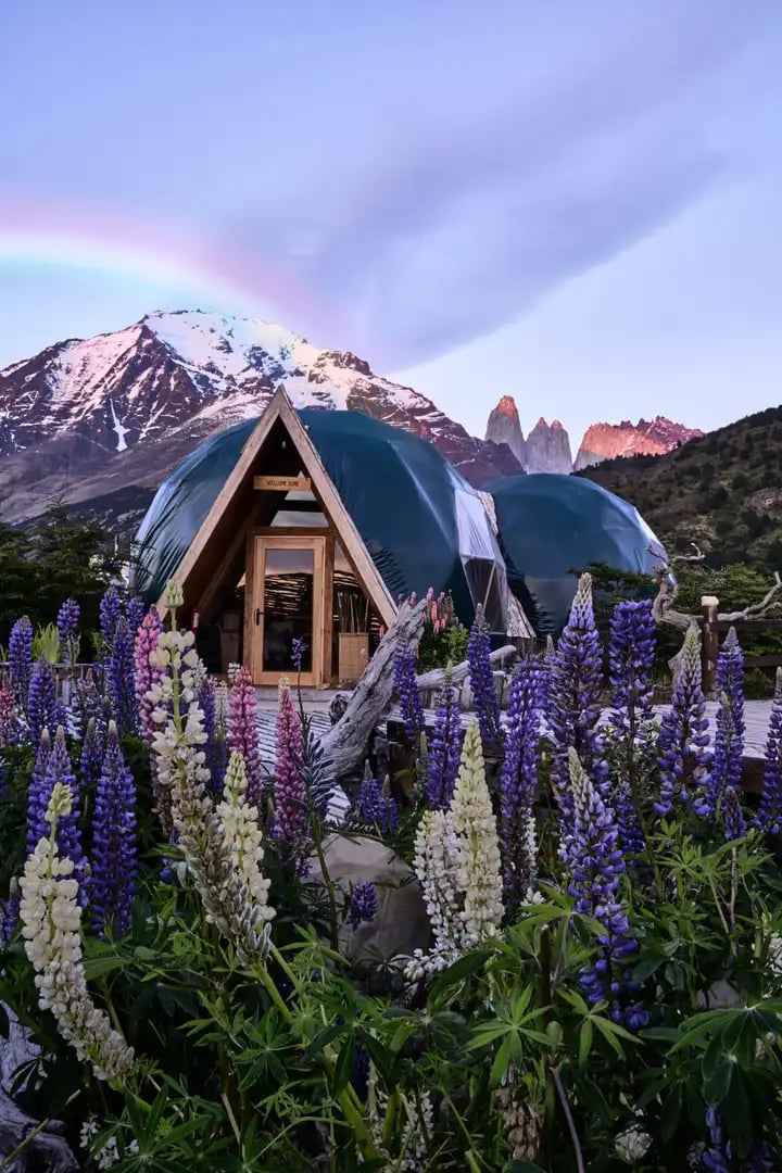 Welcome Dome EcoCamp_resultado