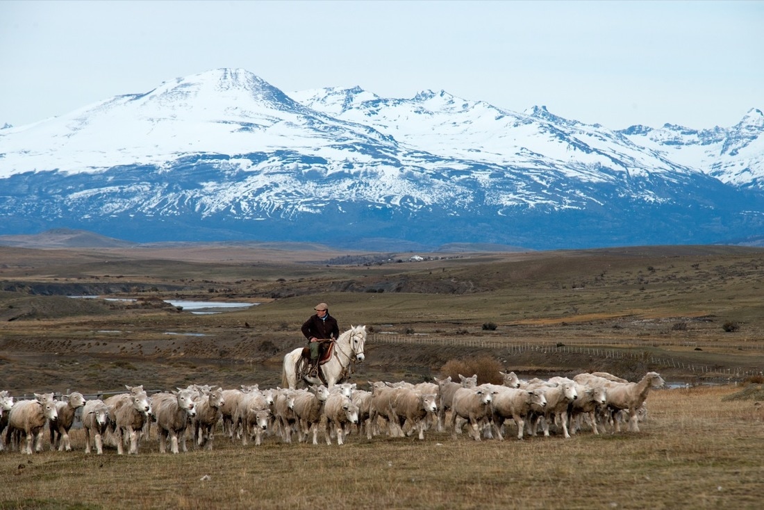 Estancia y cabalgata