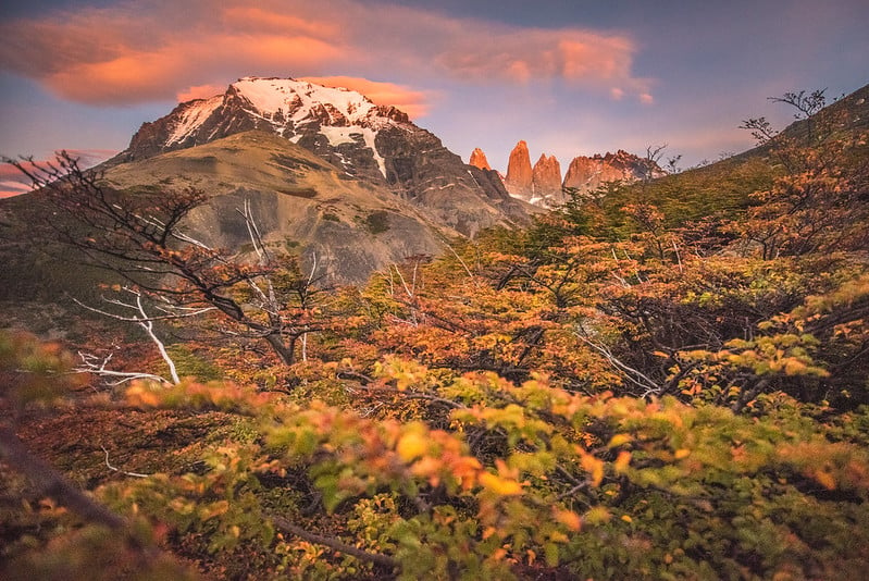 autumn torres del paine