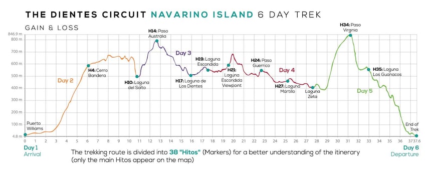 Dientes de Navarino gain and loss