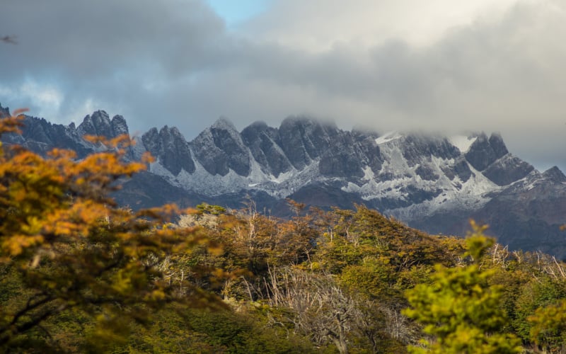 dientes de navarino