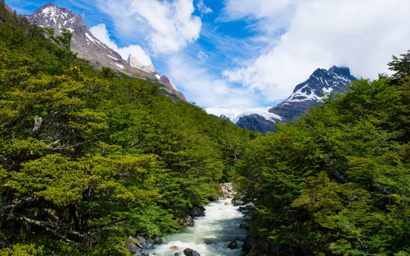 Paine Circuit  Torres del Paine 