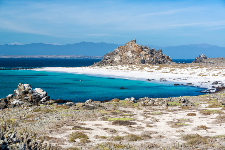 isla damas, punta  choros