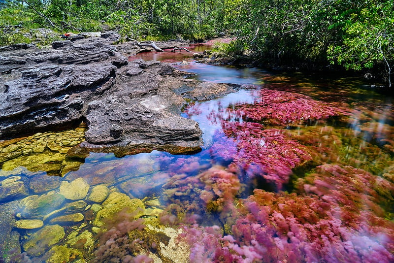 rainbow river colombia