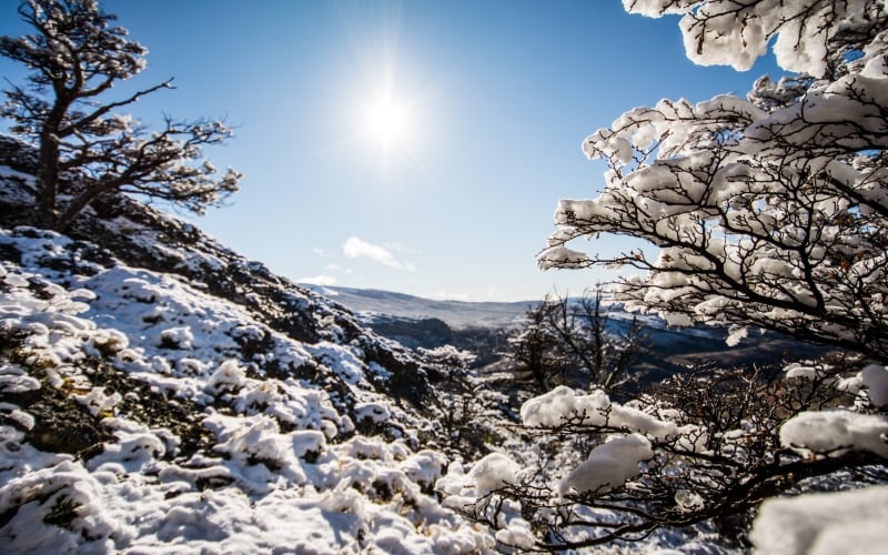 Invierno en Patagonia