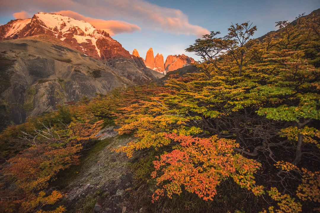 hvor som helst edderkop Diskret 8 Things You Didn't Know About Patagonia