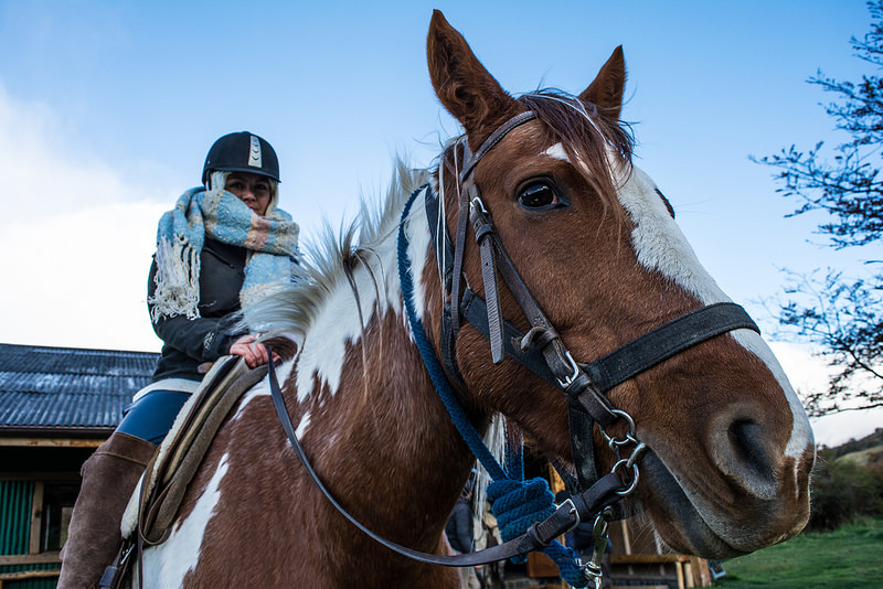 Horseback riding in Puerto Natales