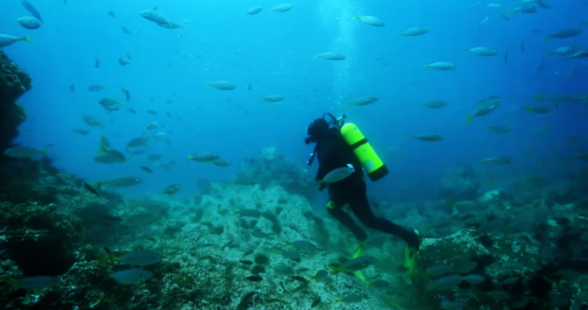 Scuba Diving in Chile