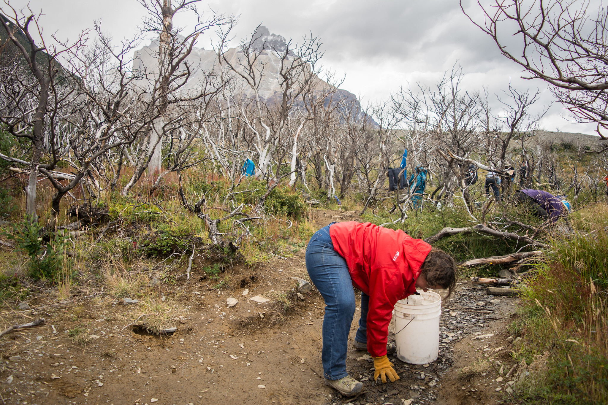 Clean up Party in Torres del Paine 