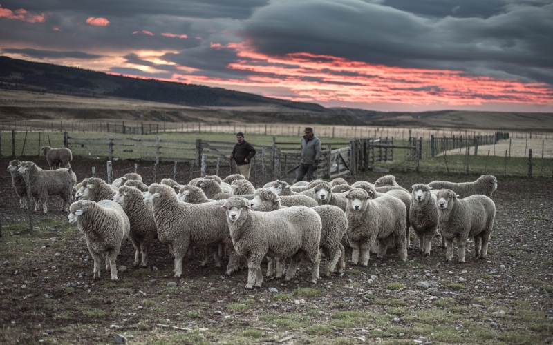 Estancia Life in Patagonia