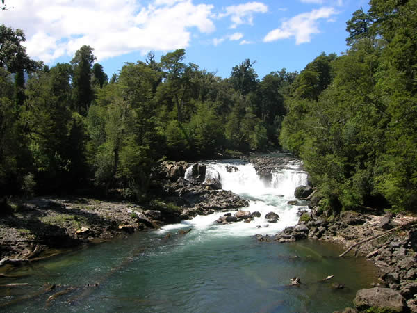 Puyehue National Park