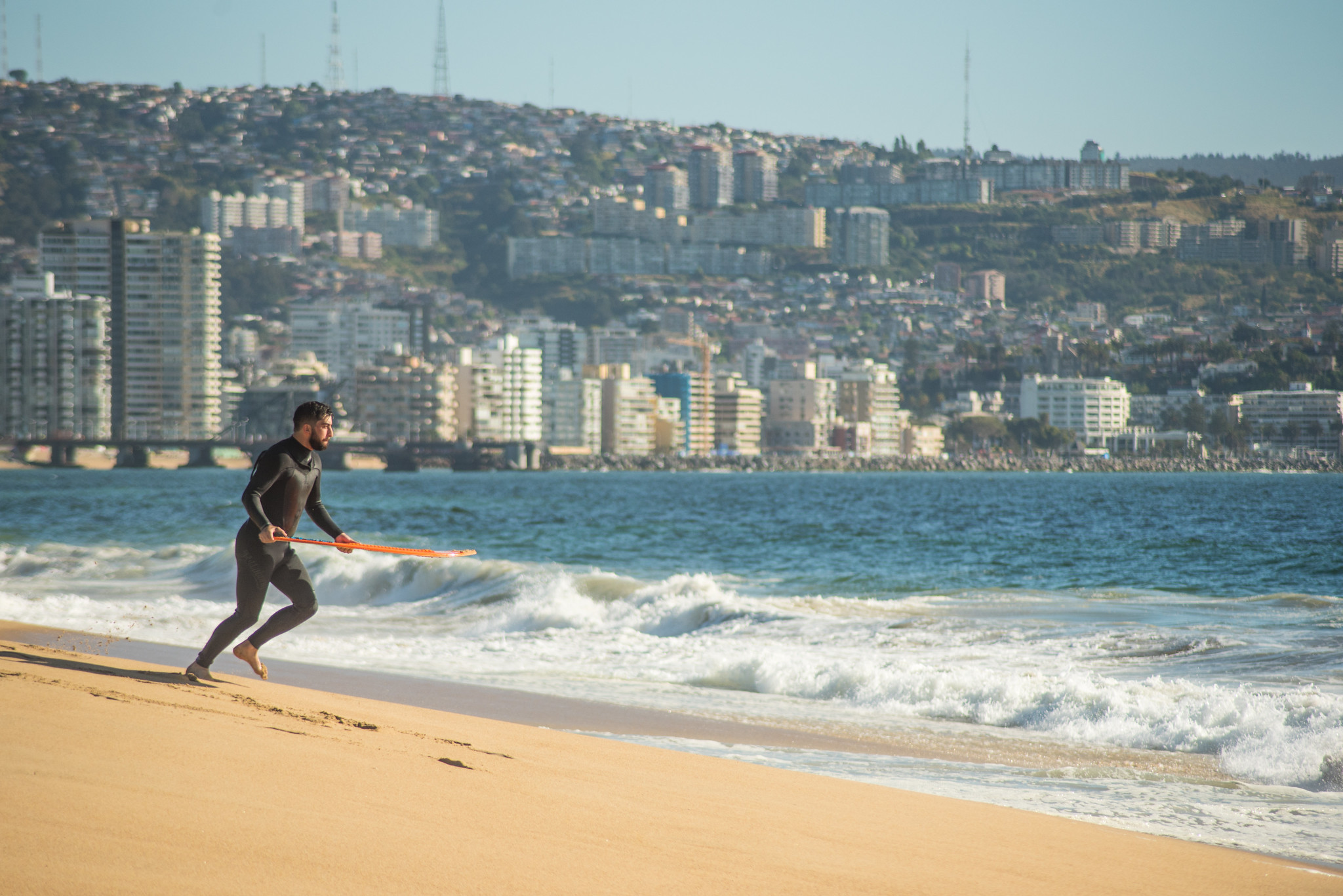 viña del mar beach