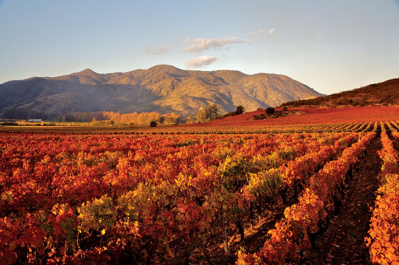 chilean wine valleys