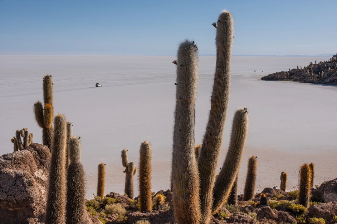 Driving through the Uyuni salar