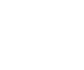 Marca Chile